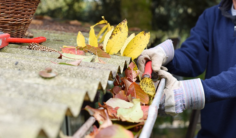 Avoid a home insurance claim with these spring cleaning tips